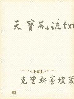 天宝风流txt