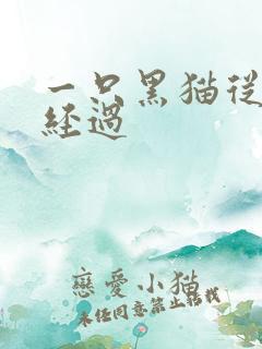 一只黑猫从眼前经过