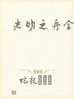 光明之舟金手指