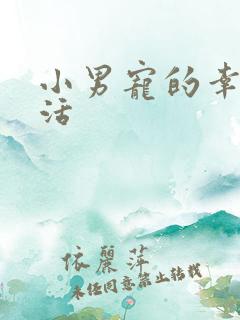 小男宠的幸福生活