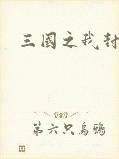 三国之我封天下