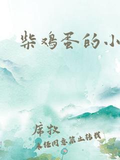 柴鸡蛋的小说