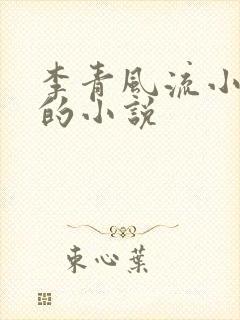 李青风流小农民的小说