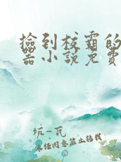 捡到校霸的遥控器小说免费阅读无弹窗