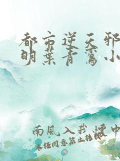 都市逆天邪医陆明叶青鸾小说