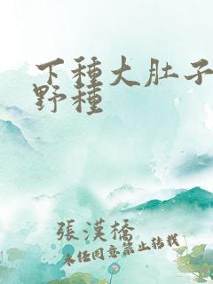 下种大肚子怀孕野种