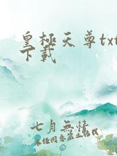 皇极天尊txt下载