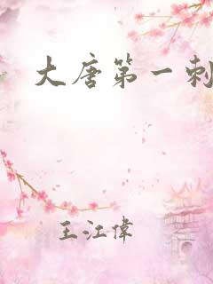 大唐第一刺局