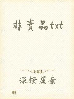 非卖品txt