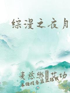 综漫之夜月