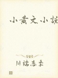 小黄文小说