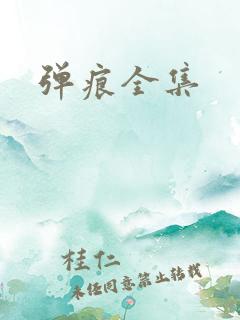 弹痕全集