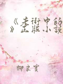 《老街中的痞子》正版小说