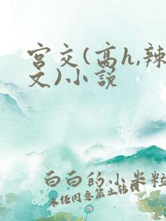 宫交(高h,辣文)小说