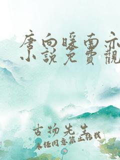 唐向暖南亦琛的小说免费观看
