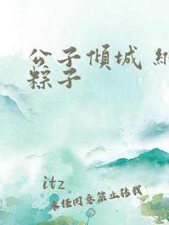 公子倾城 维和粽子