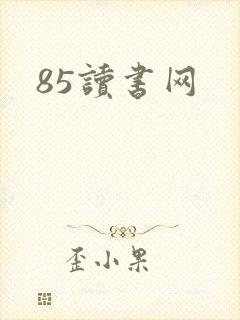 85读书网