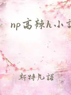 np高辣h小说