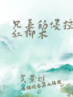 兄长的侵控by红柳木