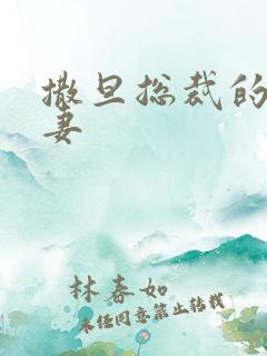 撒旦总裁的下堂妻
