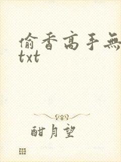 偷香高手无删减txt