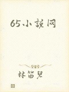 65小说网