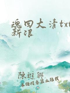 魂回大清txt新浪