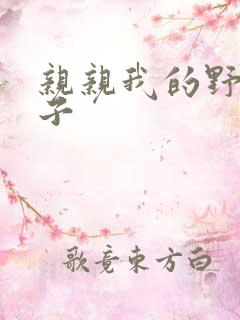 亲亲我的野猪王子