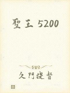圣王 5200