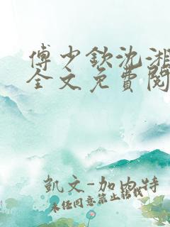 傅少钦沈湘小说全文免费阅读无广告