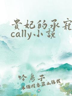 贵妃的承宠日常cally小说