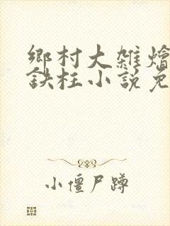 乡村大杂烩会王铁柱小说免费阅读下