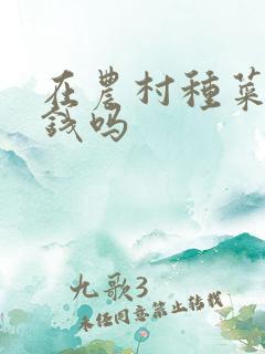 在农村种菜能赚钱吗