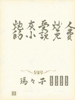 炮灰受炒人真狠的小说免费阅读全文