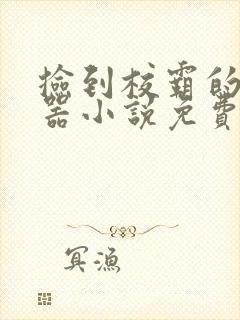 捡到校霸的遥控器小说免费阅读无弹窗