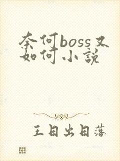 奈何boss又如何小说