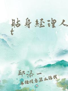 贴身经理人txt