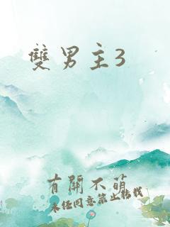 双男主3