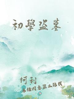 初学盗墓
