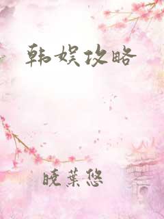 韩娱攻略