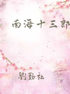 南海十三郎小说
