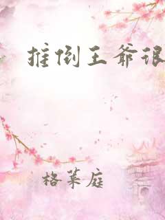 推倒王爷很重要