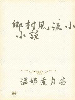 乡村风流小神医 小说