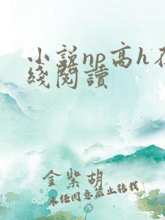 小说np高h在线阅读