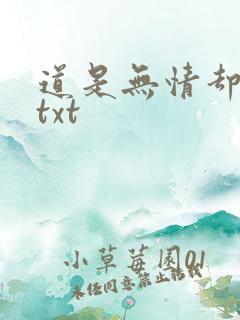 道是无情却有情txt