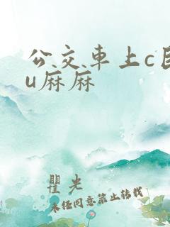 公交车上c巨ru麻麻