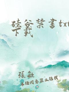 硅谷禁书txt下载