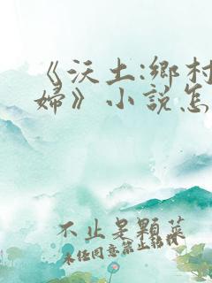 《沃土:乡村熟妇》小说怎么没了