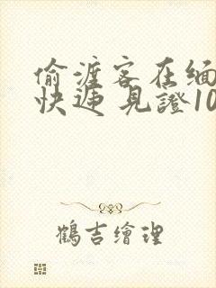 偷渡客在缅北送快递 见证100种逃亡