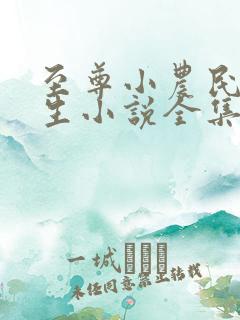 至尊小农民王木生小说全集下载